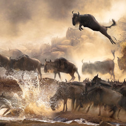 Winners Highlights from the 2014 Sony World Photography Awards